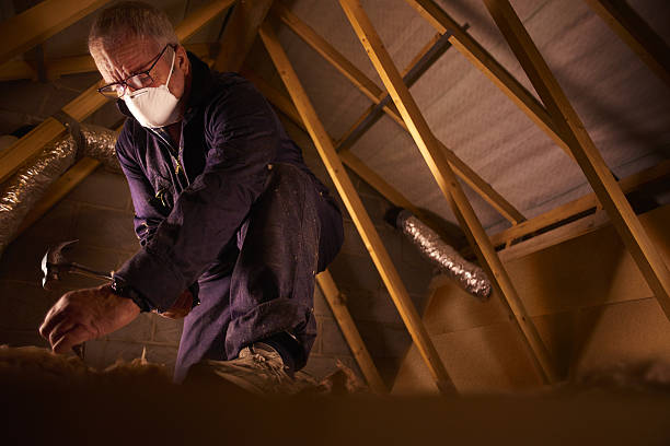 Best Insulation Maintenance and Repair in Maple Heights, OH
